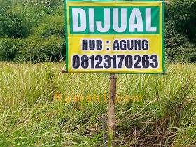 Image tanah dijual di Kedungpani, Mijen, Semarang, Properti Id 4710