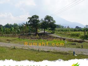 Image tanah dijual di Sumber Suko, Gempol, Pasuruan, Properti Id 5198