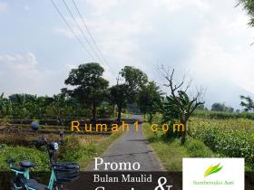 Image tanah dijual di Sumber Suko, Gempol, Pasuruan, Properti Id 5313