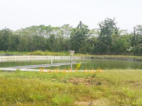 Image tanah dijual di Sukajadi, Carita, Pandeglang, Properti Id 5399