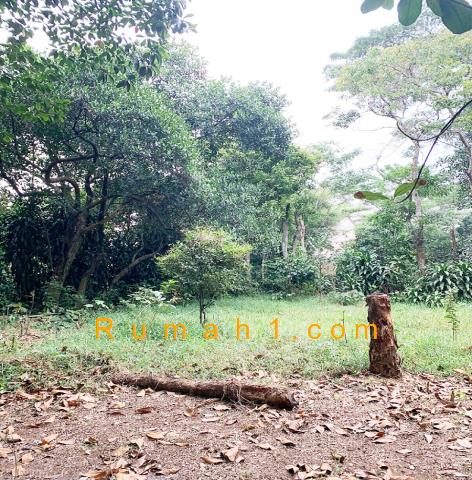 Foto Tanah dijual di Sasak Panjang, Tajurhalang, Tanah Id: 5735