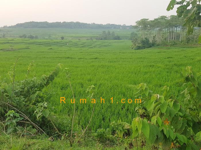 Foto Tanah dijual di Sirnagalih, Jonggol, Tanah Id: 5806