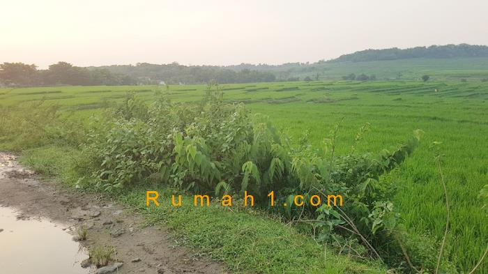 Foto Tanah dijual di Sirnagalih, Jonggol, Tanah Id: 5806