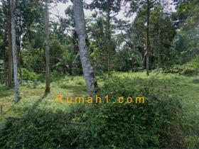 Image tanah dijual di Kecandran, Sidomukti, Salatiga, Properti Id 6169
