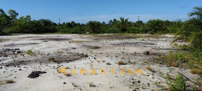 Foto Tanah dijual di Mentawa Baru Hulu, Mentawa Baru Ketapang, Tanah Id: 6212