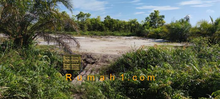 Foto Tanah dijual di Mentawa Baru Hulu, Mentawa Baru Ketapang, Tanah Id: 6212