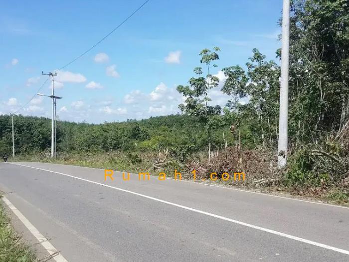 Foto Tanah dijual di Kasiau, Murung Pudak, Tanah Id: 6213