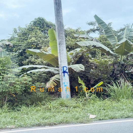 Foto Tanah dijual di Kasiau, Murung Pudak, Tanah Id: 6213