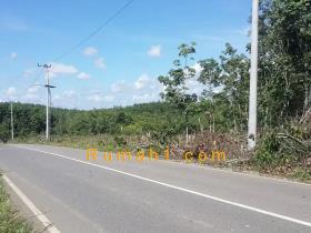 Image tanah dijual di Kasiau, Murung Pudak, Tabalong, Properti Id 6213