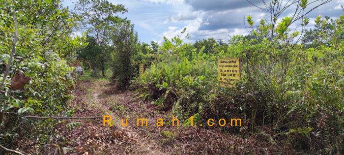 Foto Tanah dijual di Sabaru, Sebangau, Tanah Id: 6214