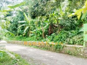 Image tanah dijual di Setrajaya, Koroncong, Pandeglang, Properti Id 6216