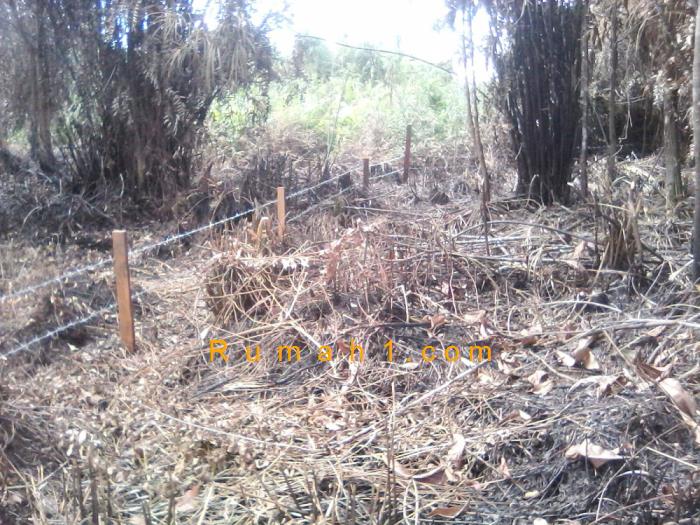 Foto Tanah dijual di Tanjung Selor Timur, Tanjung Selor, Tanah Id: 6218