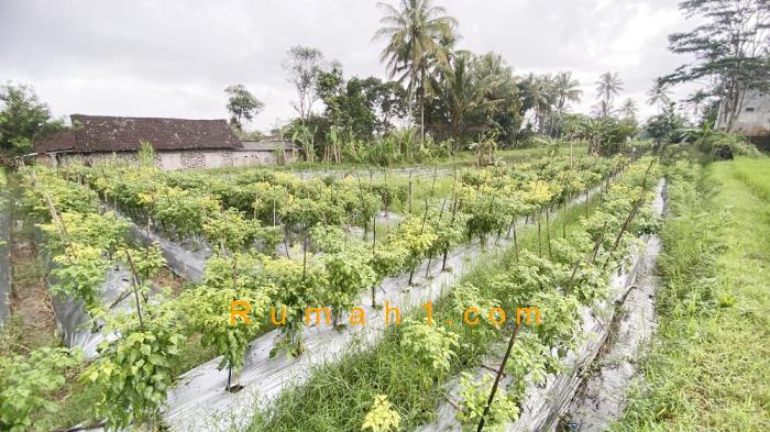 Foto Tanah dijual di Harjo Binangun, Pakem, Tanah Id: 6230