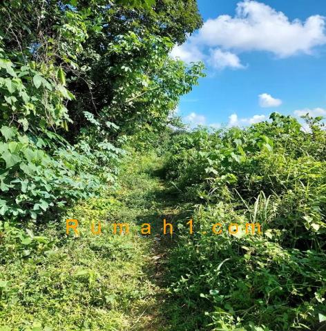 Foto Tanah dijual di Gelam, Cipocok Jaya, Tanah Id: 6454