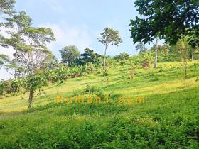 Image tanah dijual di Campang Raya, Sukabumi, Bandar Lampung, Properti Id 6489