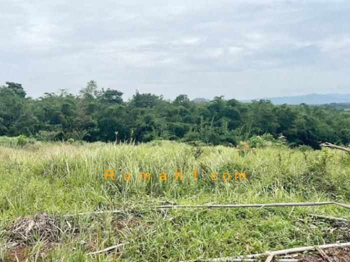 Foto Tanah dijual di Koleang, Jasinga, Tanah Id: 6755