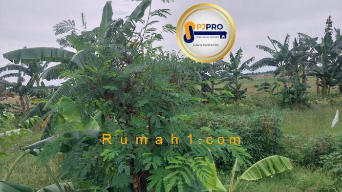 Foto Tanah dijual di Sukawangi, Sukawangi, Tanah Id: 7005