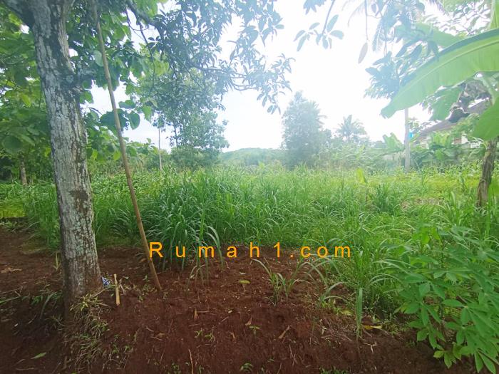 Foto Tanah dijual di Batuwarno, Batuwarno, Tanah Id: 7319