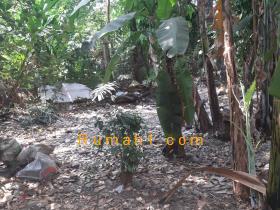Image tanah dijual di Susukan, Ciracas, Jakarta Timur, Properti Id 7334