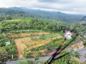 Image tanah dijual di Putat, Patuk, Gunung Kidul, Properti Id 7405