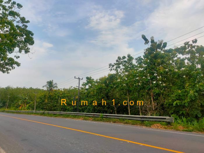 Foto Tanah dijual di Talang Baru, Sidomulyo, Tanah Id: 7526