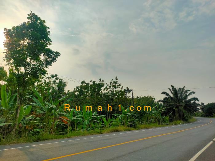Foto Tanah dijual di Talang Baru, Sidomulyo, Tanah Id: 7526