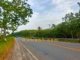 Image tanah dijual di Talang Baru, Sidomulyo, Lampung Selatan, Properti Id 7526