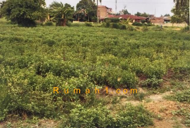 Foto Tanah dijual di Rengas Pulau, Medan Marelan, Tanah Id: 7564