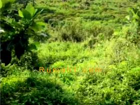 Image tanah dijual di Sentul, Babakan Madang, Bogor, Properti Id 7566