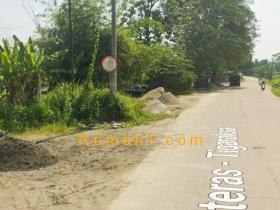 Image tanah dijual di Nanggung, Kopo, Serang, Properti Id 7987