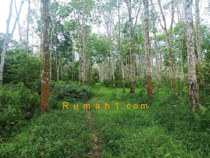 Foto Tanah dijual di Midar, Gelumbang, Tanah Id: 7991