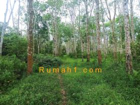 Image tanah dijual di Midar, Gelumbang, Muara Enim, Properti Id 7991