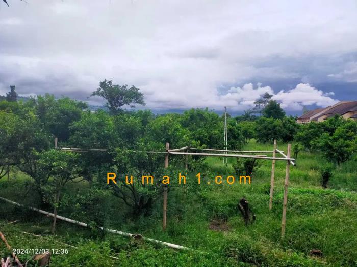 Foto Tanah dijual di Isola, Sukasari, Tanah Id: 8446