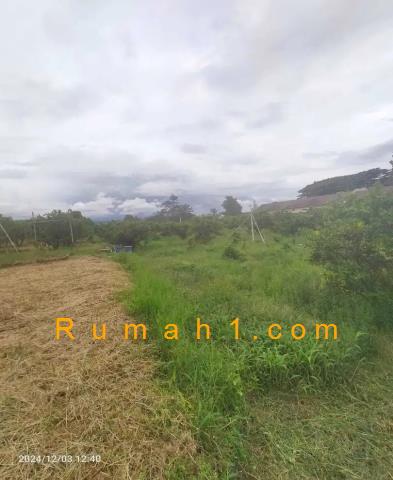 Foto Tanah dijual di Isola, Sukasari, Tanah Id: 8446