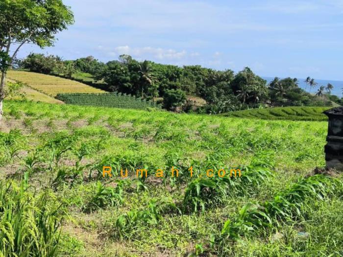 Foto Tanah disewakan di Kelating, Kerambitan, Tanah Id: 8575