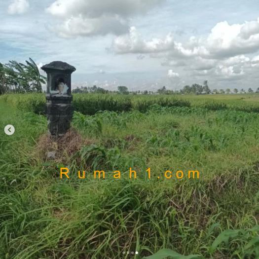 Foto Tanah disewakan di Kelating, Kerambitan, Tanah Id: 8575