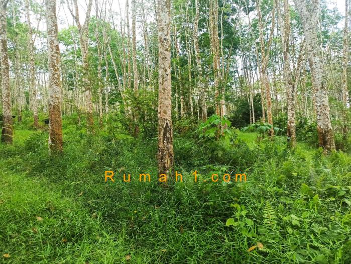 Foto Tanah dijual di Karang Anyar, Gandus, Tanah Id: 8609