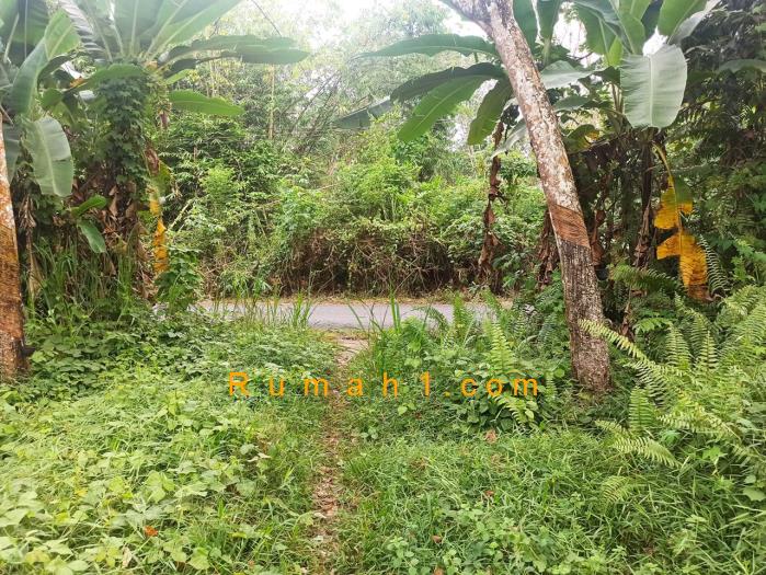 Foto Tanah dijual di Karang Anyar, Gandus, Tanah Id: 8609