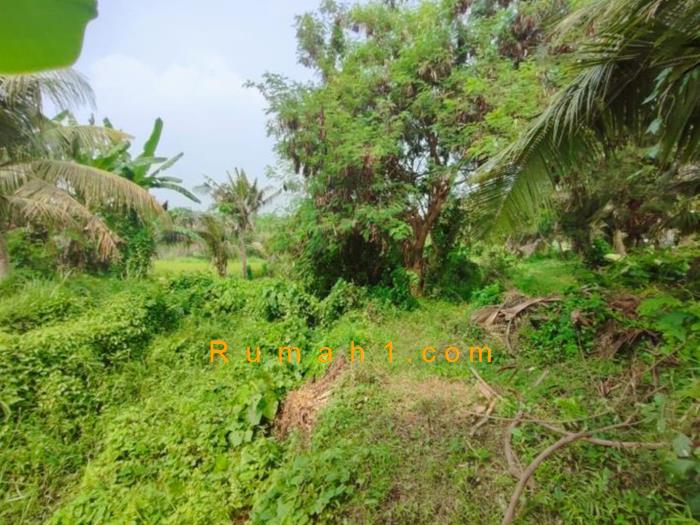 Foto Tanah dijual di Saba, Belah Batuh, Tanah Id: 8642