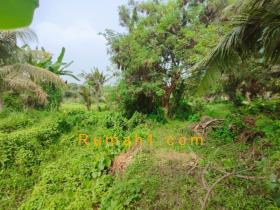 Image tanah dijual di Saba, Belah Batuh, Gianyar, Properti Id 8642