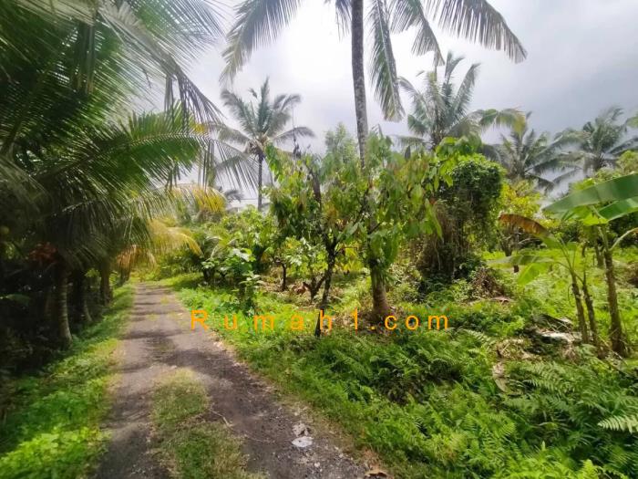 Foto Tanah dijual di Antosari, Selemadeg / Salemadeg Barat, Tanah Id: 8652