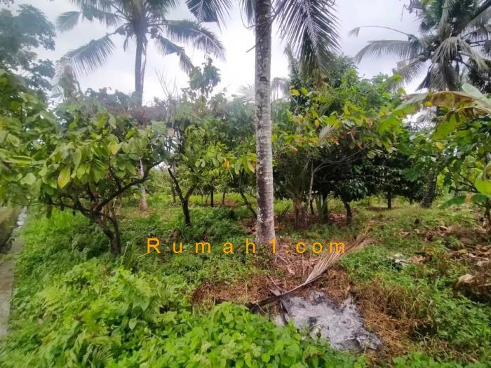 Foto Tanah dijual di Antosari, Selemadeg / Salemadeg Barat, Tanah Id: 8652