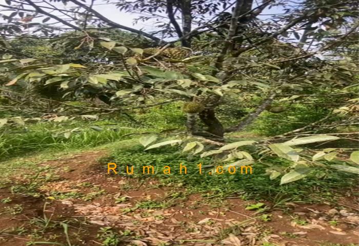 Foto Tanah dijual di Parung Kuda, Parung Kuda, Tanah Id: 8662