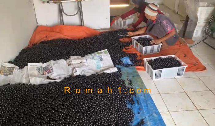 Foto Tanah dijual di Parung Kuda, Parung Kuda, Tanah Id: 8662