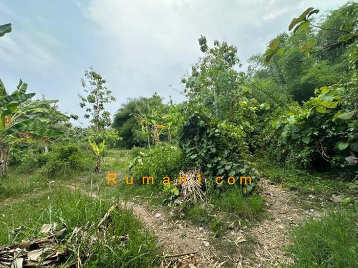 Foto Tanah dijual di Tukad Sumaga, Gerokgak, Tanah Id: 8683
