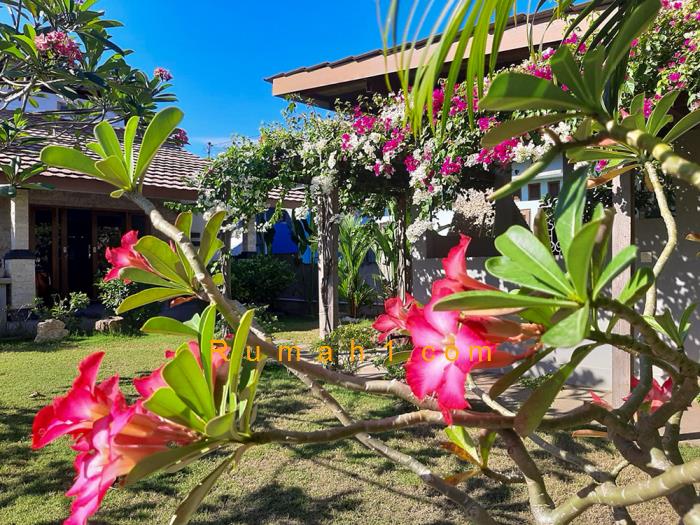 Foto Villa dijual di Batu Cermin, Komodo, Villa Id: 8722