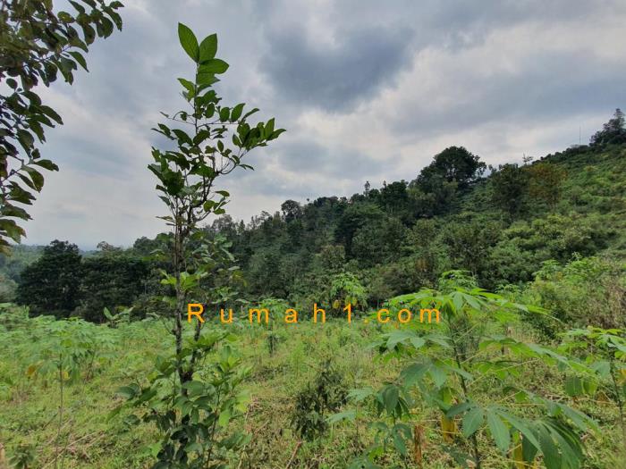 Foto Tanah dijual di Wonosalam, Wonosalam, Tanah Id: 8730