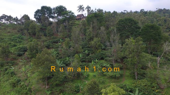 Foto Tanah dijual di Wonosalam, Wonosalam, Tanah Id: 8730
