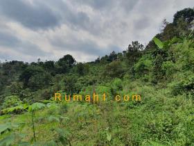 Image tanah dijual di Wonosalam, Wonosalam, Jombang, Properti Id 8730