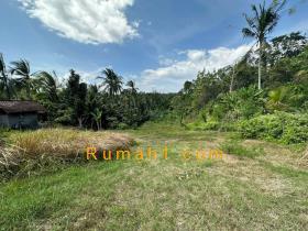 Image tanah dijual di Mendoyo Dauh Tukad, Mendoyo, Jembrana, Properti Id 8762